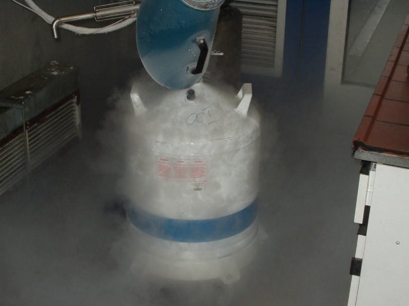 Gas Leak Dry Ice