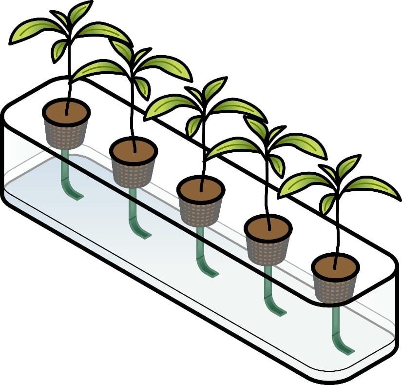 Hydroponics