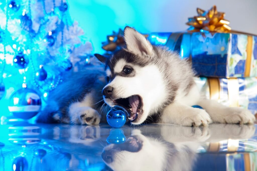 Christmas puppy chewing a bauble